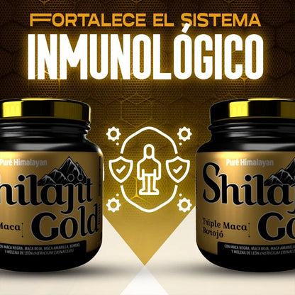 PASTILLAS SHILAJIT HIMALAYA GOLD